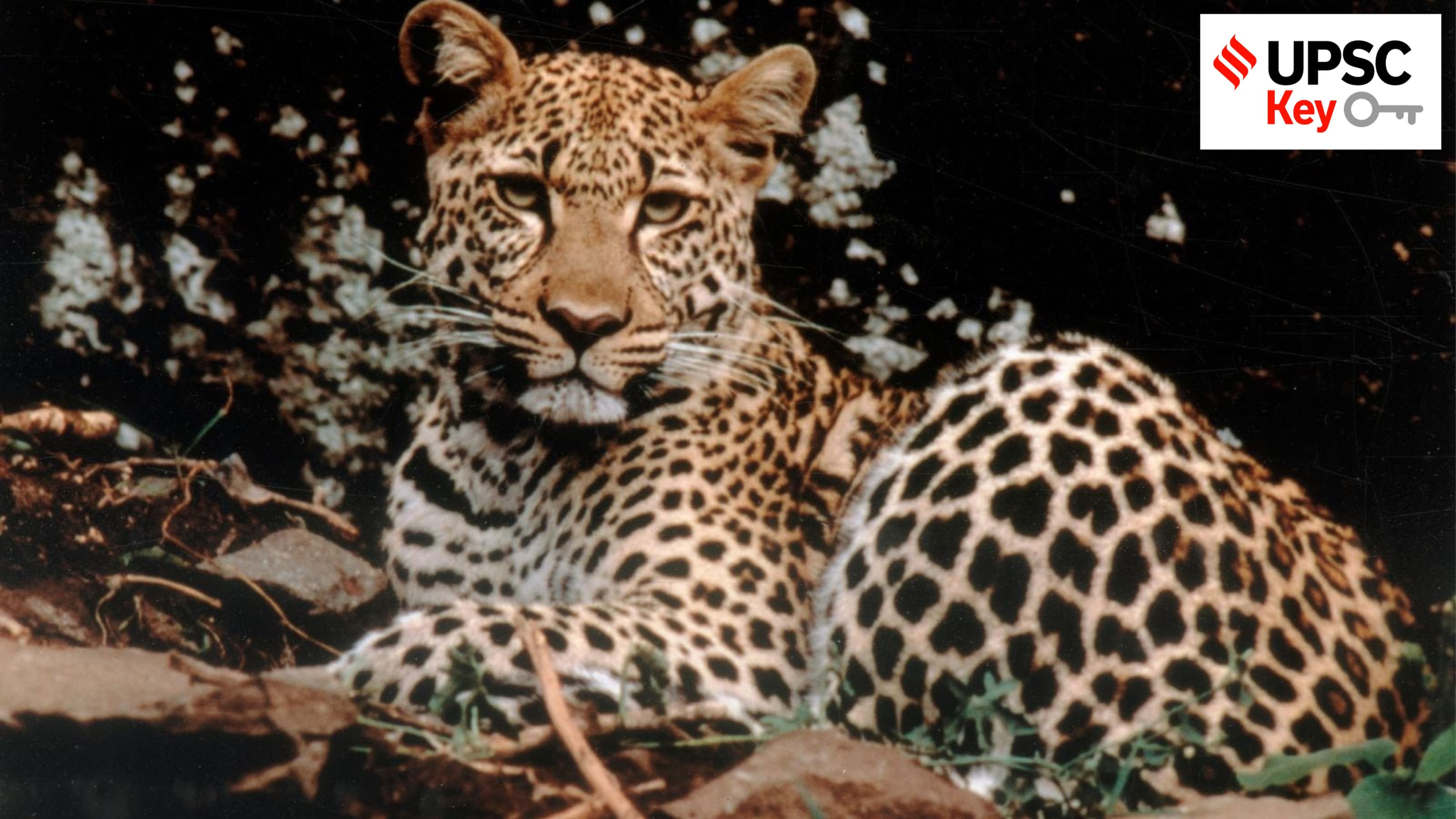 UPSC Key: Sovereign Cloud System, International Big Cat Alliance and US Secret Service