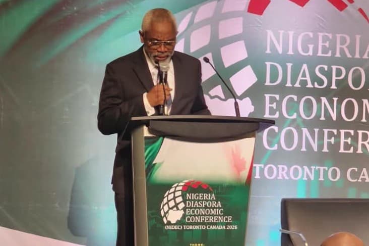 Tinubu To Diaspora Nigerians: Turn Global Success Into Investments In Nigeria