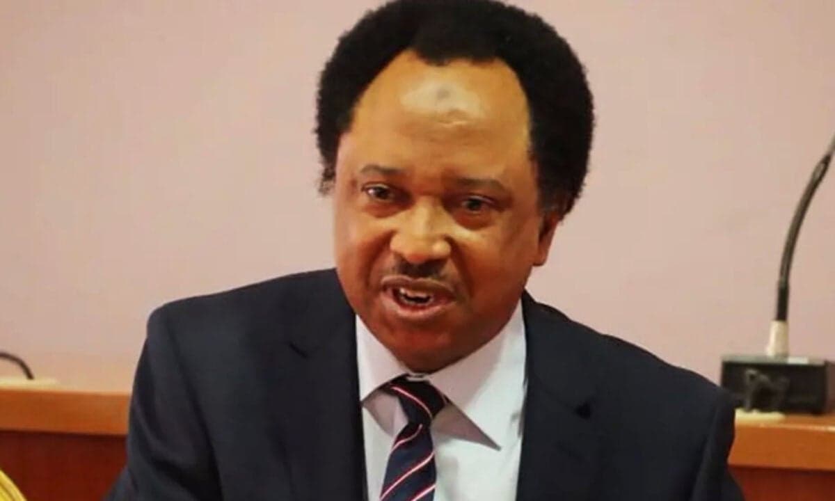 Nigeria must learn from past to secure future — Shehu Sani