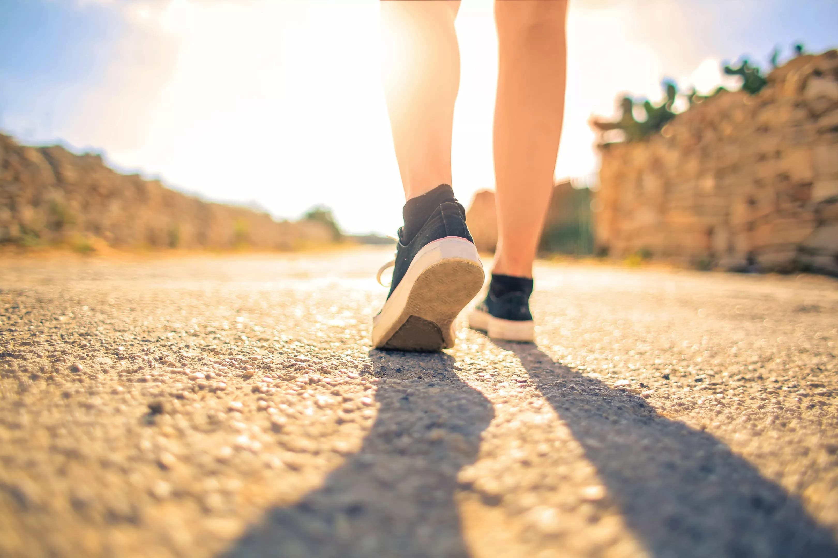 A connection to nature fuels well‐being, ASU researchers find